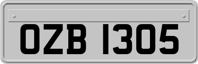 OZB1305