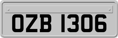 OZB1306