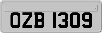 OZB1309