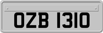 OZB1310