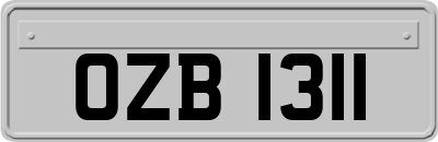 OZB1311