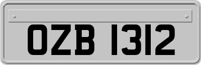 OZB1312