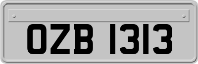 OZB1313