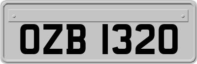 OZB1320