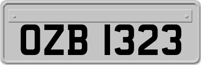 OZB1323