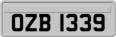 OZB1339