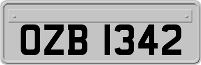 OZB1342