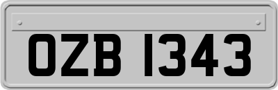OZB1343