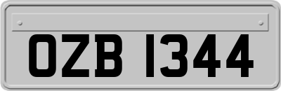 OZB1344
