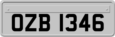 OZB1346