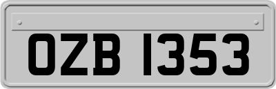 OZB1353