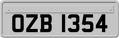 OZB1354