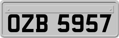 OZB5957