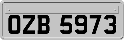 OZB5973