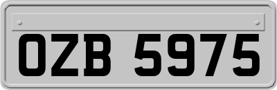 OZB5975