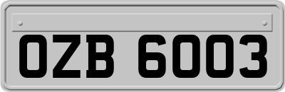 OZB6003