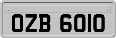 OZB6010
