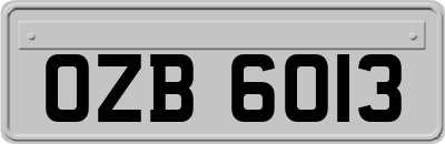 OZB6013