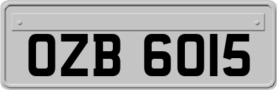 OZB6015