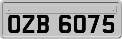 OZB6075