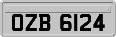OZB6124