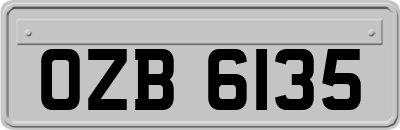 OZB6135