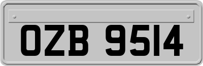 OZB9514