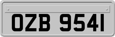 OZB9541
