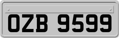 OZB9599