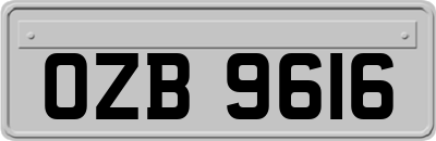 OZB9616