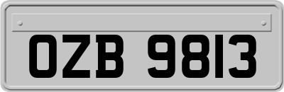 OZB9813