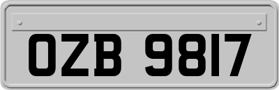 OZB9817