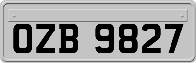 OZB9827