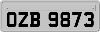 OZB9873