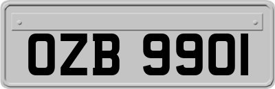 OZB9901
