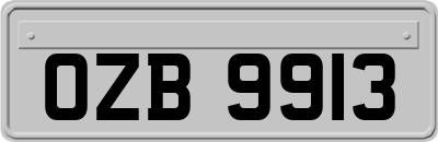 OZB9913