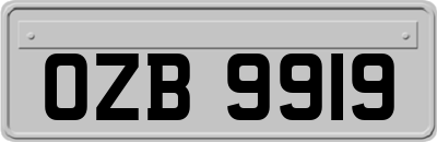 OZB9919