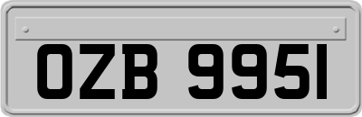 OZB9951