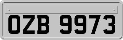 OZB9973