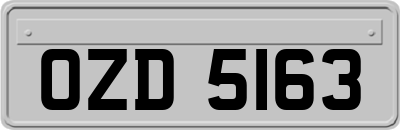 OZD5163