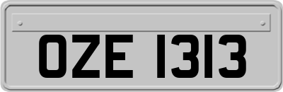 OZE1313