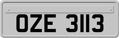 OZE3113
