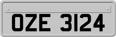 OZE3124