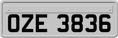 OZE3836