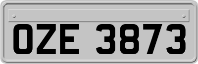 OZE3873