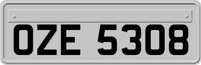 OZE5308