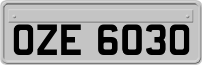 OZE6030