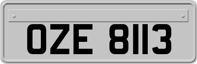 OZE8113
