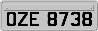 OZE8738