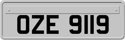 OZE9119